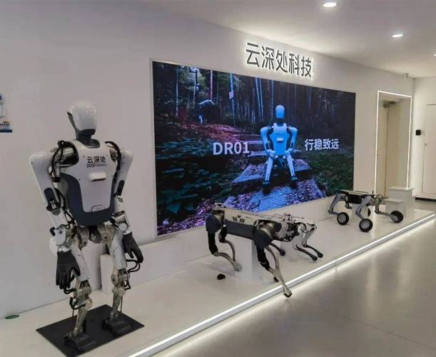 丁桥青创会联合海宁新生代 走进"杭州六小龙"云深处科技